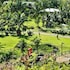 balay ni tatay farm resort by cocotel