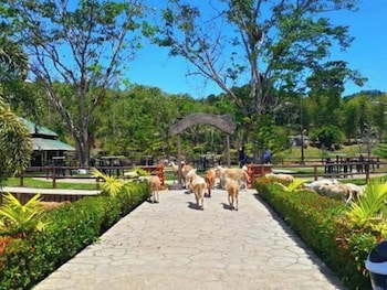 balay ni tatay farm resort by cocotel