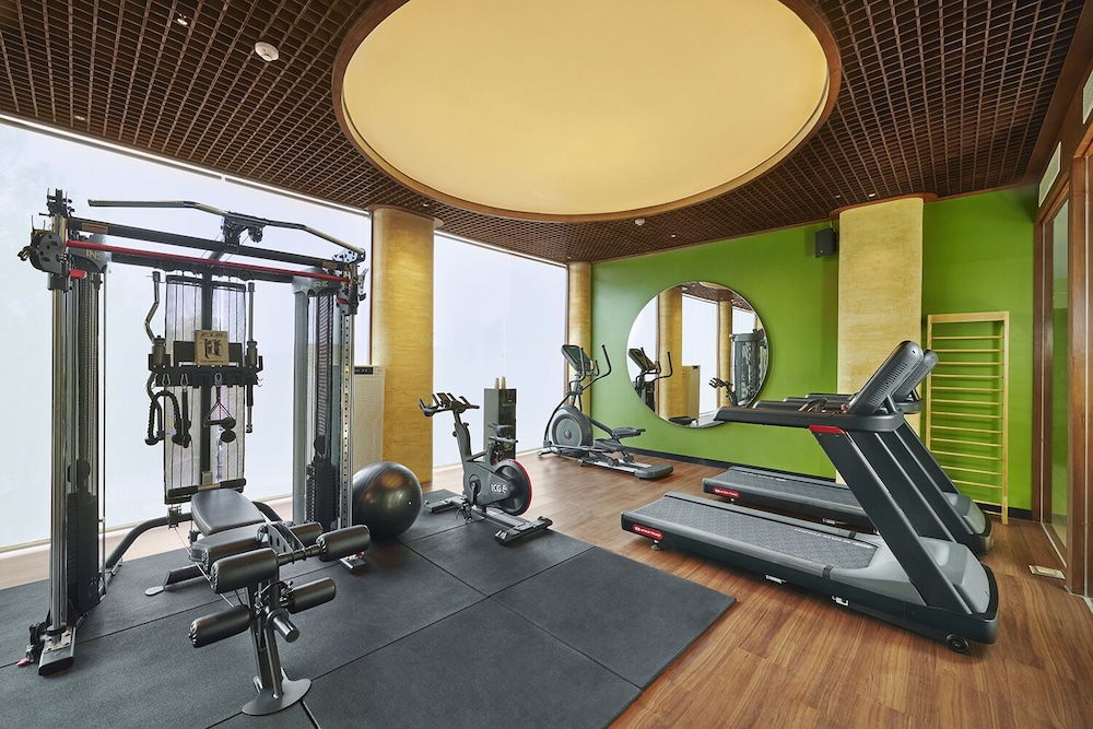 golden hill by golden tulip