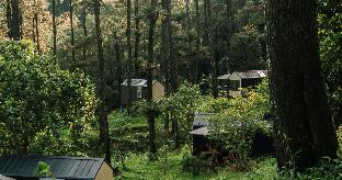 bobocabin pacet
