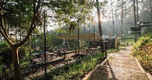 bobocabin pacet