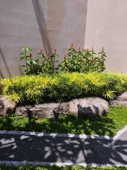 kartika dahayu villa