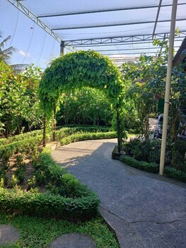 kartika dahayu villa