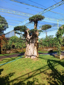 kartika dahayu villa