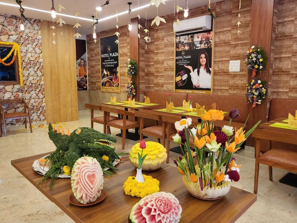 hotel plaza airport zone