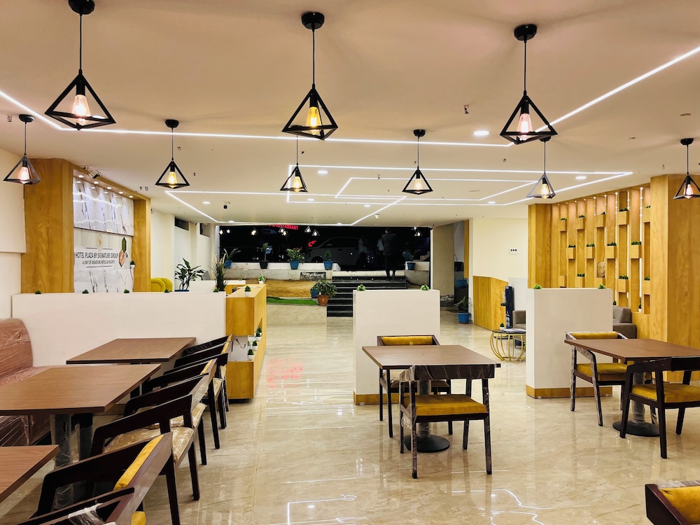 hotel plaza airport zone