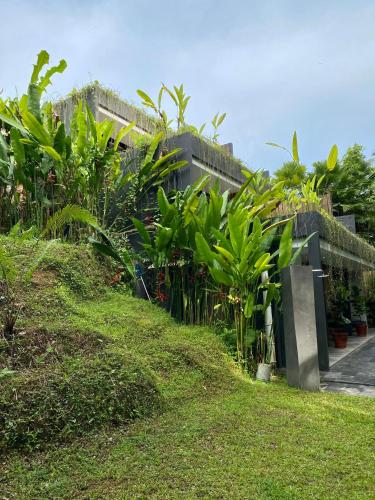 ubud
