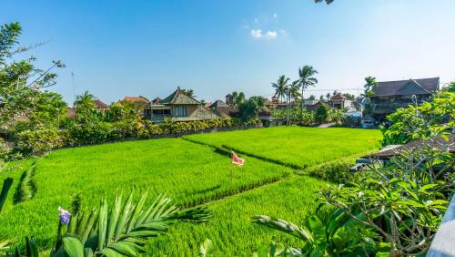 gayatri retreat ubud