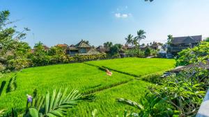 gayatri retreat ubud