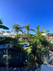 apartamentos oasis de la cala