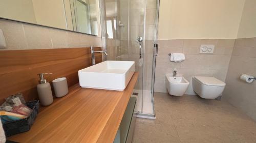 san marcello piteglio