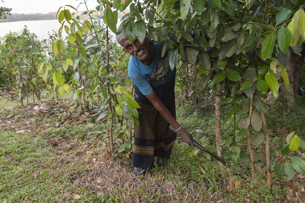 serendipity lake hikkaduwa