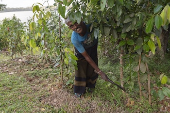 serendipity lake hikkaduwa