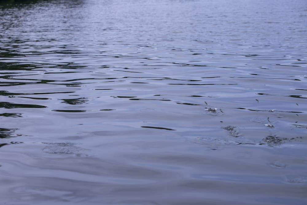 serendipity lake hikkaduwa