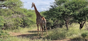 thandolwami bush lodge and spa