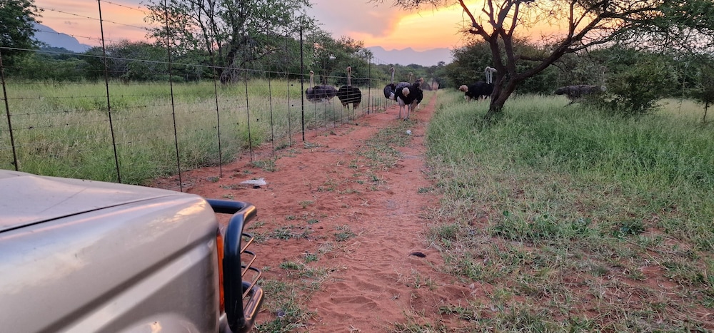 thandolwami bush lodge and spa