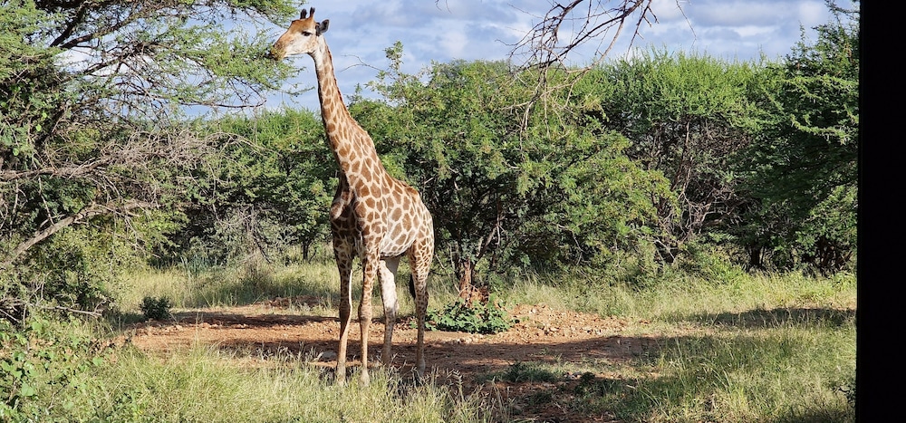 thandolwami bush lodge and spa