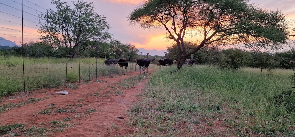 thandolwami bush lodge and spa