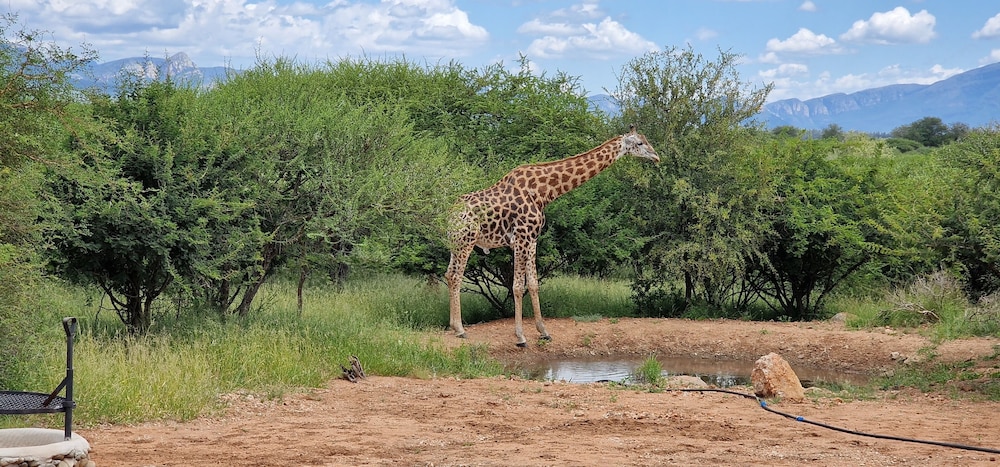 thandolwami bush lodge and spa