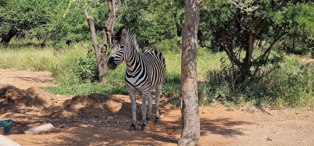 thandolwami bush lodge and spa