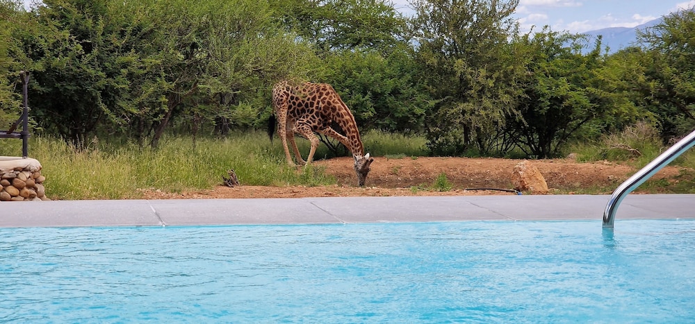 thandolwami bush lodge and spa