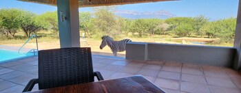 thandolwami bush lodge and spa