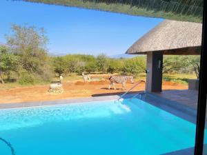 thandolwami bush lodge and spa