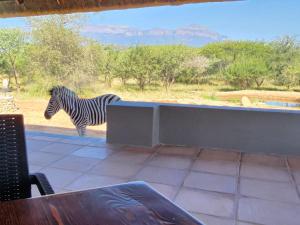 thandolwami bush lodge and spa