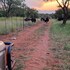 hoedspruit