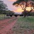 thandolwami bush lodge and spa