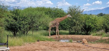 thandolwami bush lodge and spa