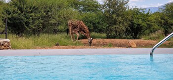 hoedspruit