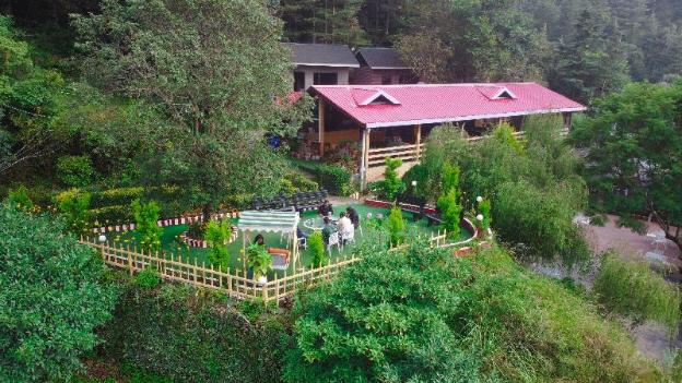 oakwood hamlet resort shoghi shimla