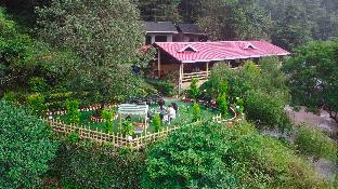 oakwood hamlet resort shoghi shimla