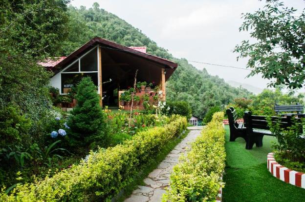 oakwood hamlet resort shoghi shimla