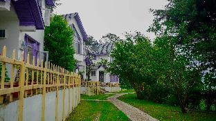 oakwood hamlet resort shoghi shimla