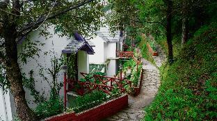 oakwood hamlet resort shoghi shimla