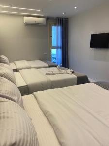 pyramids grand museum inn