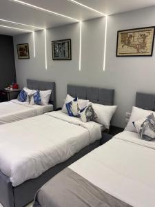 pyramids grand museum inn