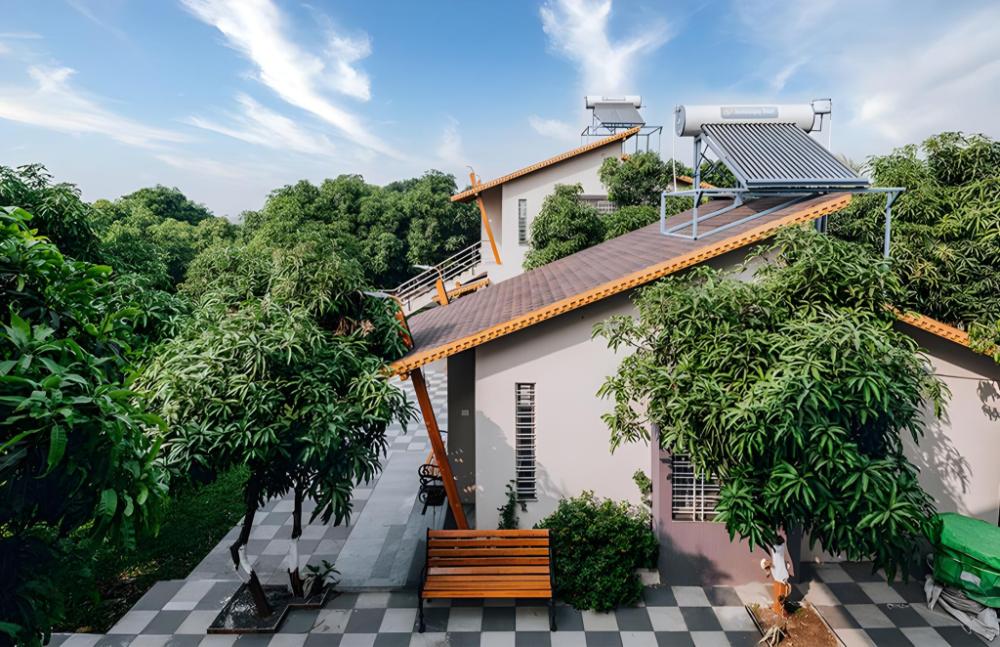 freesia resort by express inn