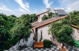 freesia resort by express inn