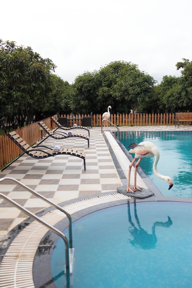 freesia resort by express inn