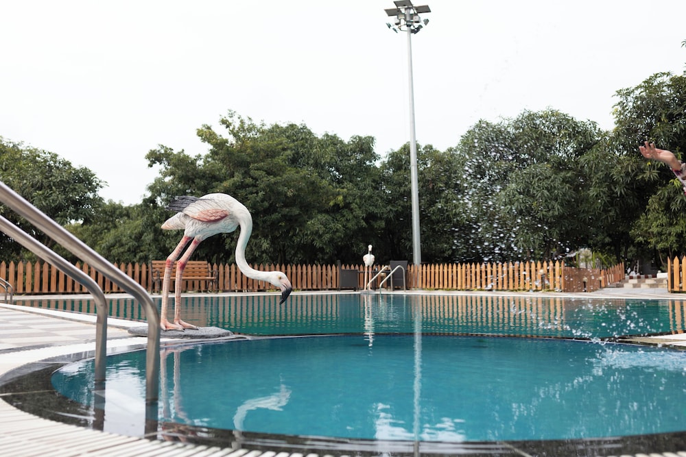 freesia resort by express inn