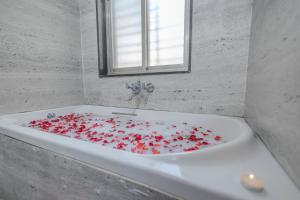 freesia resort by express inn