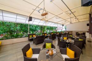 freesia resort by express inn