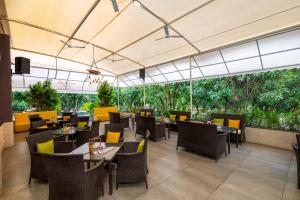 freesia resort by express inn