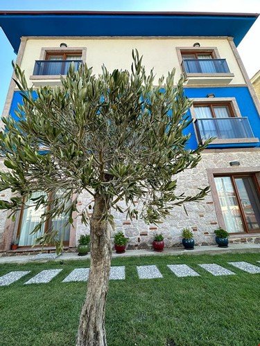 sirin garden ayvalik