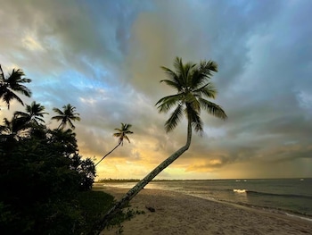auka boipeba