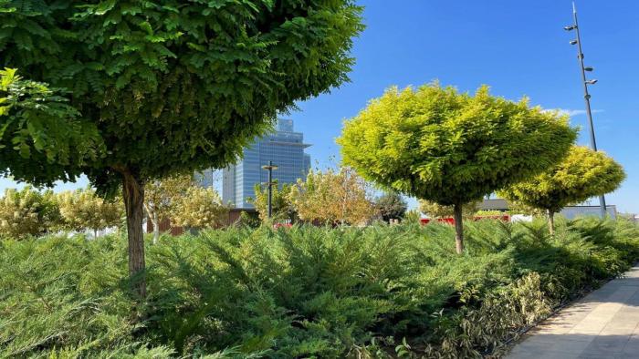 holiday inn tashkent city an ihg hotel