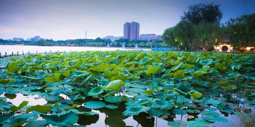 jinan